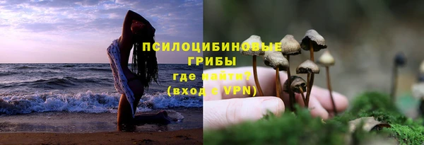 твердый Алзамай