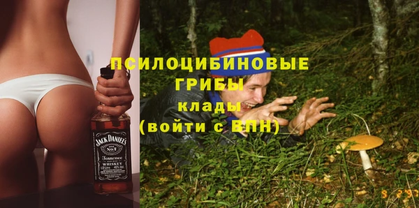 твердый Алзамай
