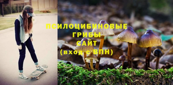 прущая мука Алексеевка