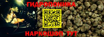 стаф Нальчик