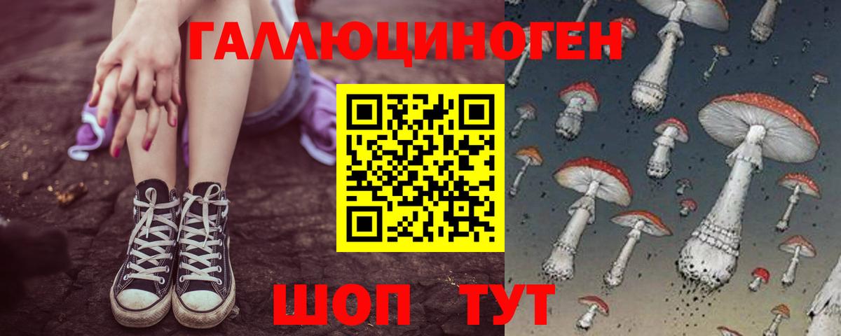 Псилоцибиновые грибы Psilocybe  Вход с VPN  Петрозаводск 